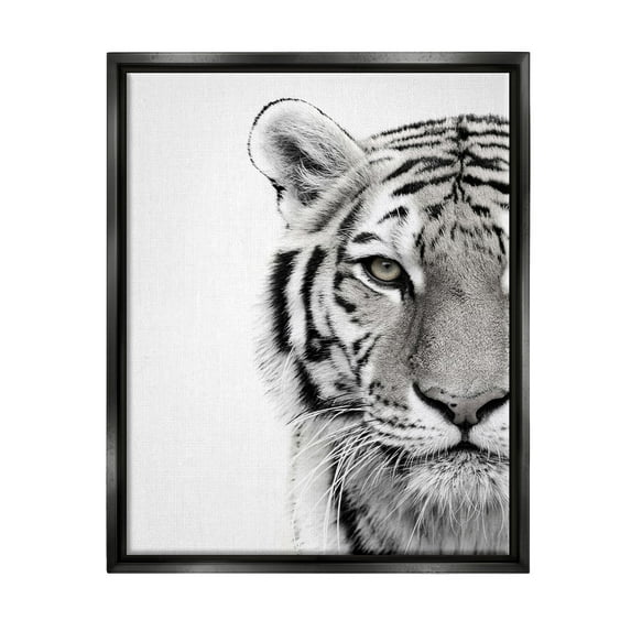 Stupell Industries White Tiger Close Up Black and White Photography Jet Black Framed Floating Canvas Wall Art, 16x20, by Design Fabrikken