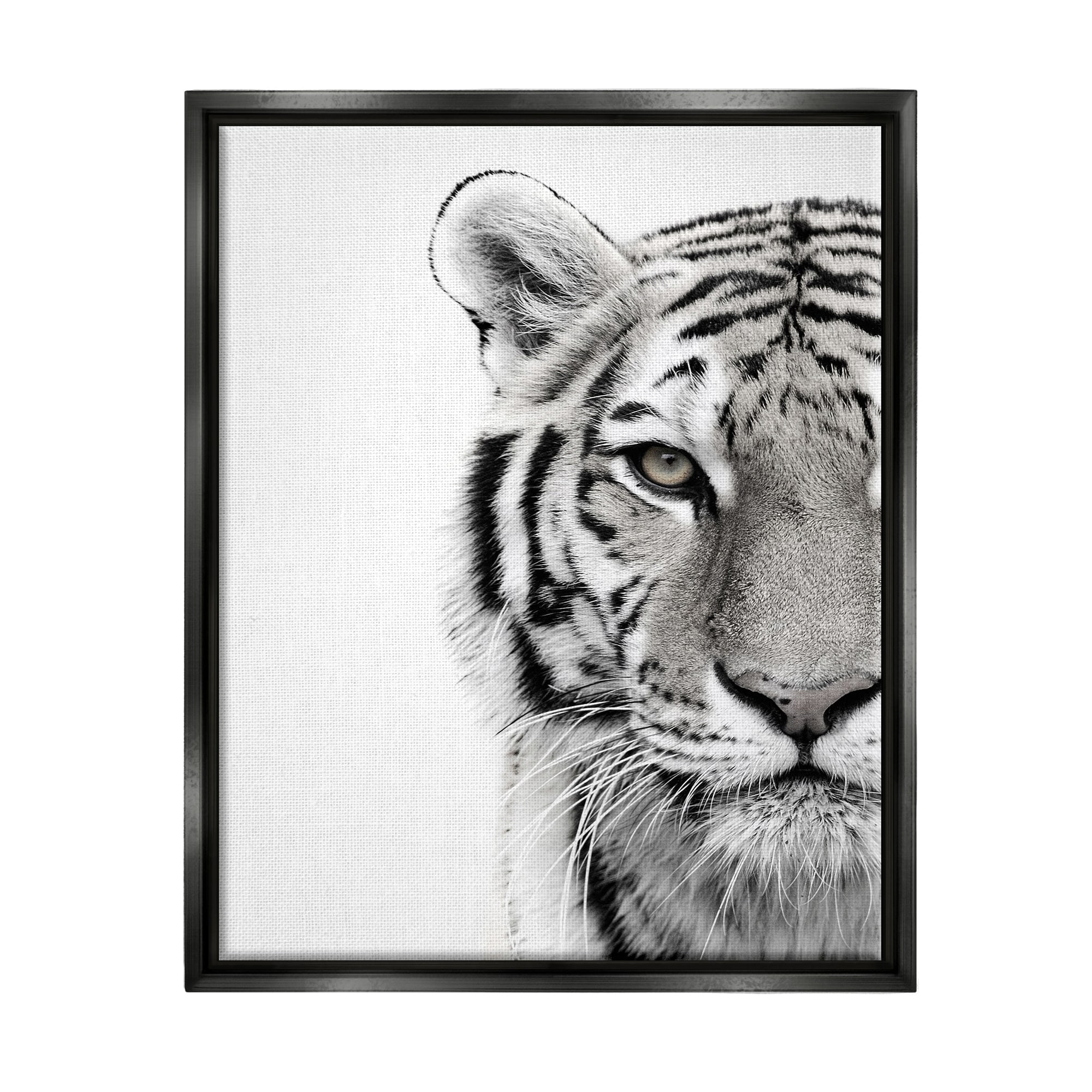 Stupell Industries White Tiger Close Up Black and White Photography Jet Black Framed Floating Canvas Wall Art, 24x30, by Design Fabrikken