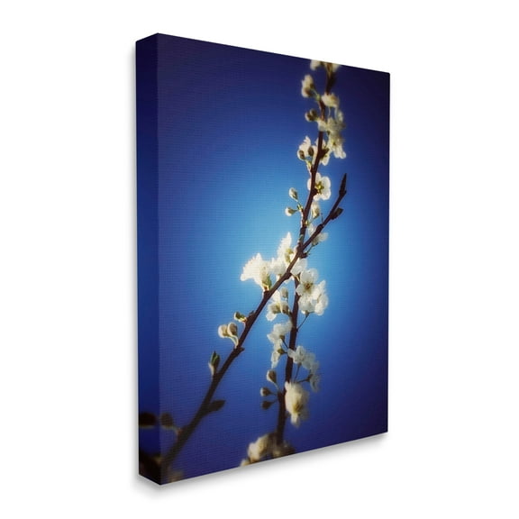 Stupell Industries White Tree Blossom Florals Over Deep Indigo Blue Botanical & Floral Painting Gallery Wrapped Canvas Print Wall Art, 16 x 20