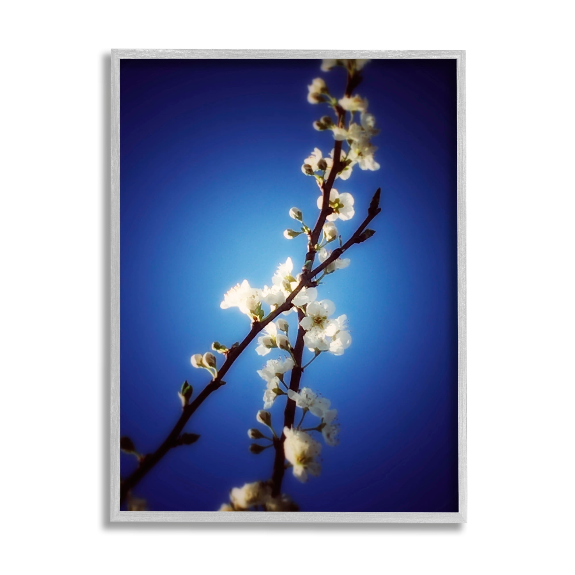 Stupell Industries White Tree Blossom Florals Over Deep Indigo Blue Botanical & Floral Painting Gray Framed Art Print Wall Art, 16 x 20
