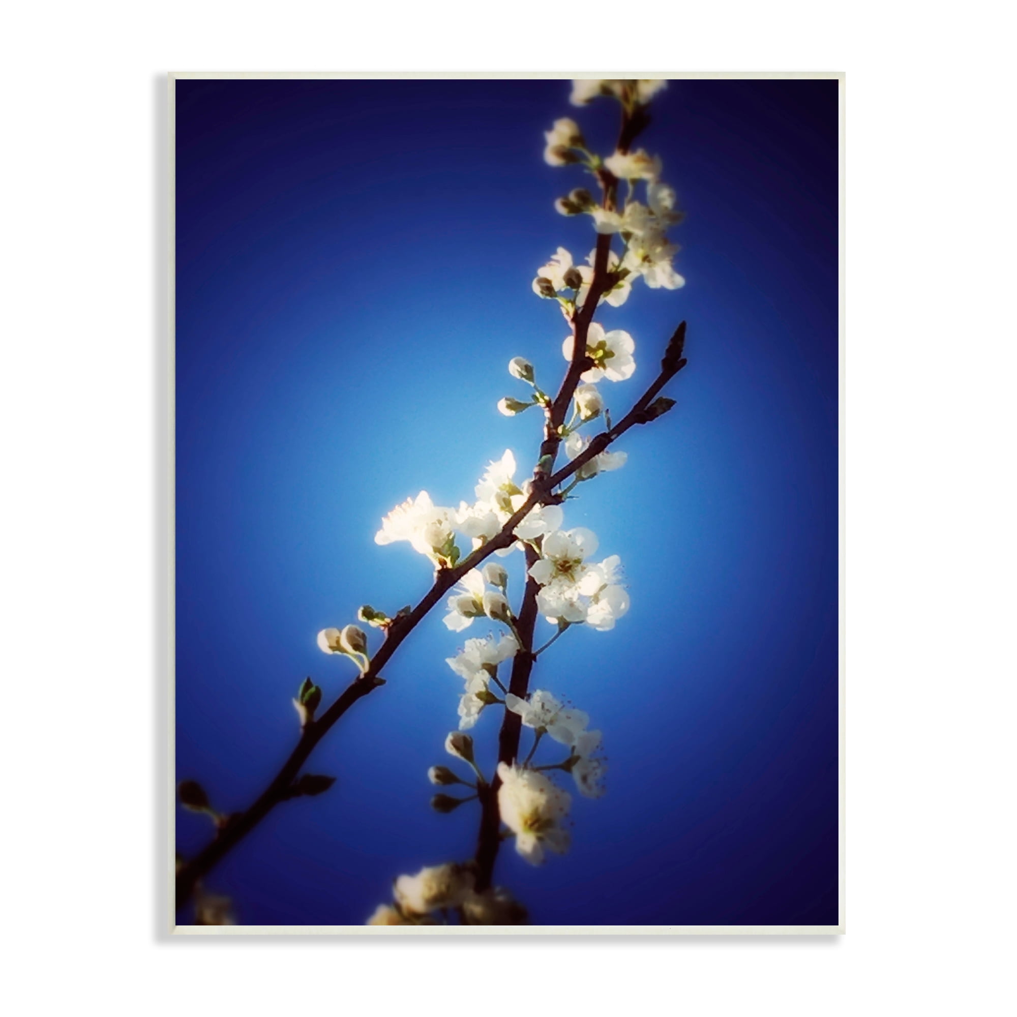 Stupell Industries White Tree Blossom Florals Over Deep Indigo Blue Botanical & Floral Painting Unframed Art Print Wall Art, 13 x 19