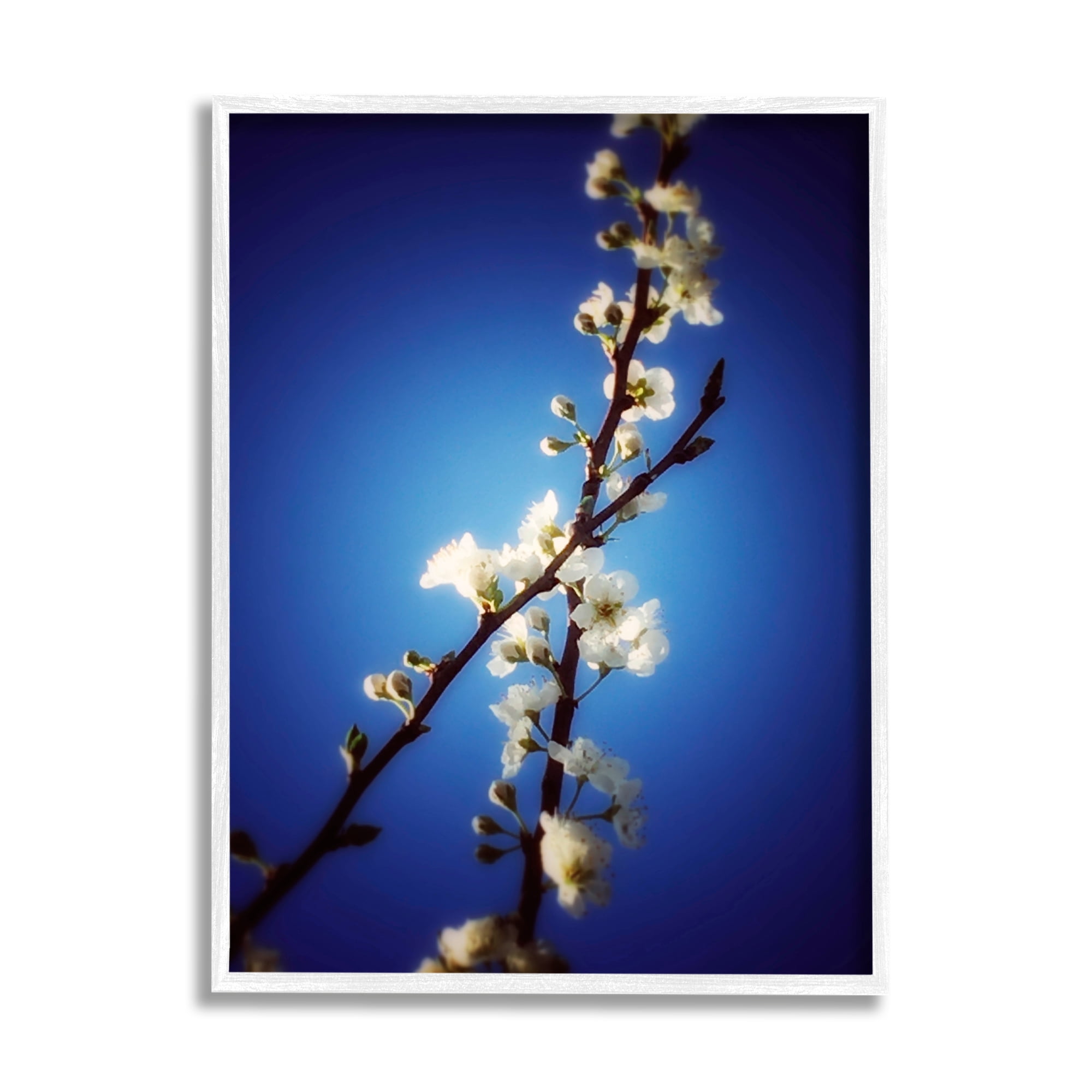 Stupell Industries White Tree Blossom Florals Over Deep Indigo Blue Botanical & Floral Painting White Framed Art Print Wall Art, 24 x 30