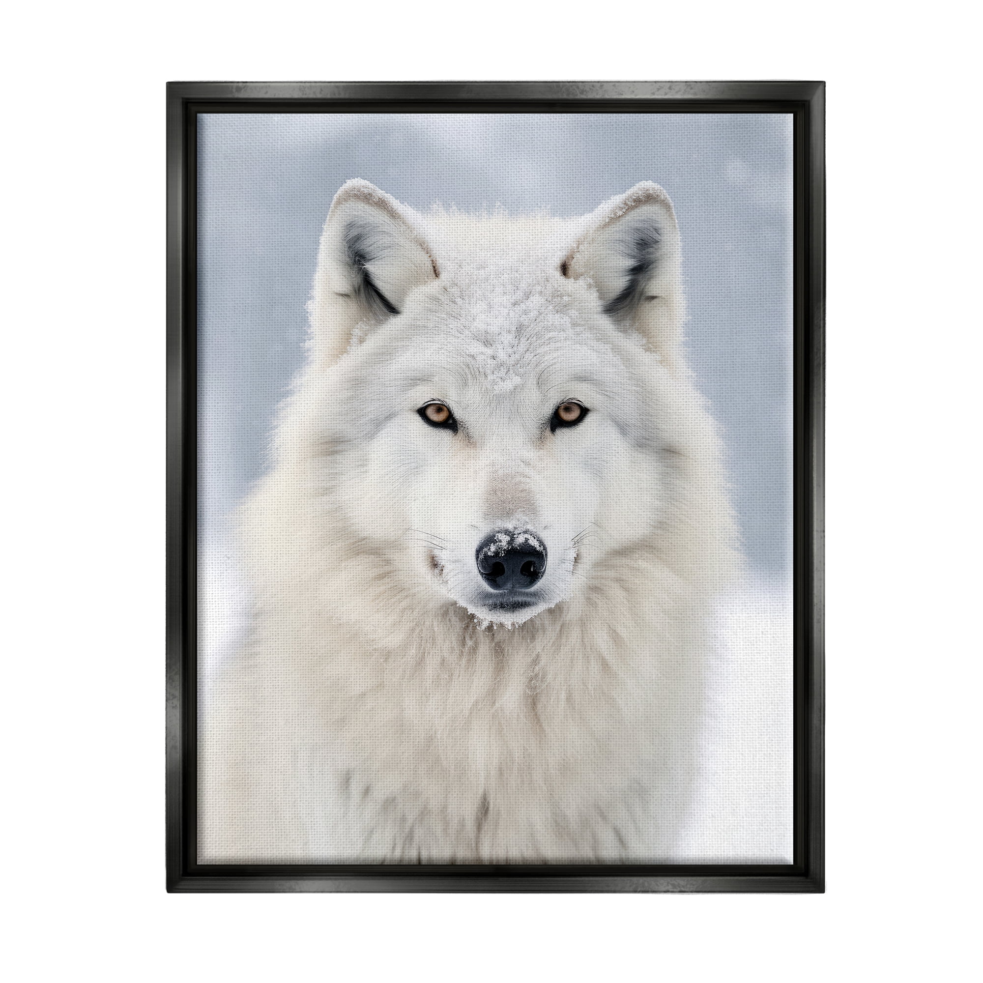 Stupell Industries White Wolf in Snow Animals & Insects Photography Black Floater Framed Canvas Art Print Wall Art, 25 x 31