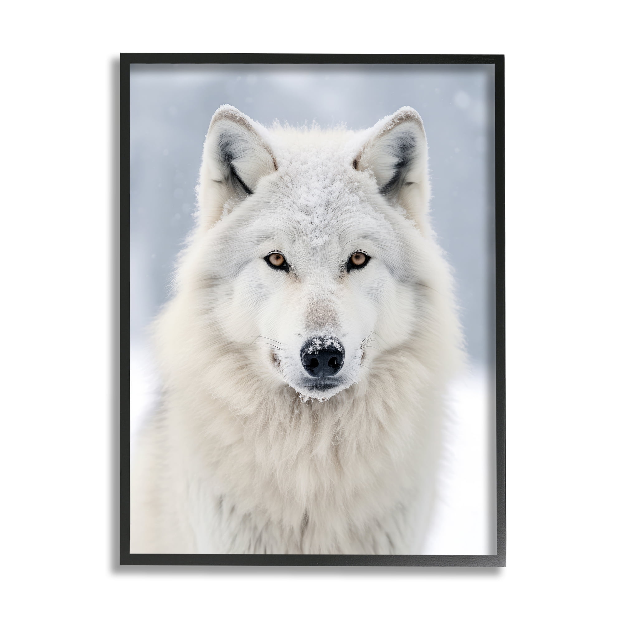 Stupell Industries White Wolf in Snow Animals & Insects Photography Black Framed Art Print Wall Art, 16 x 20