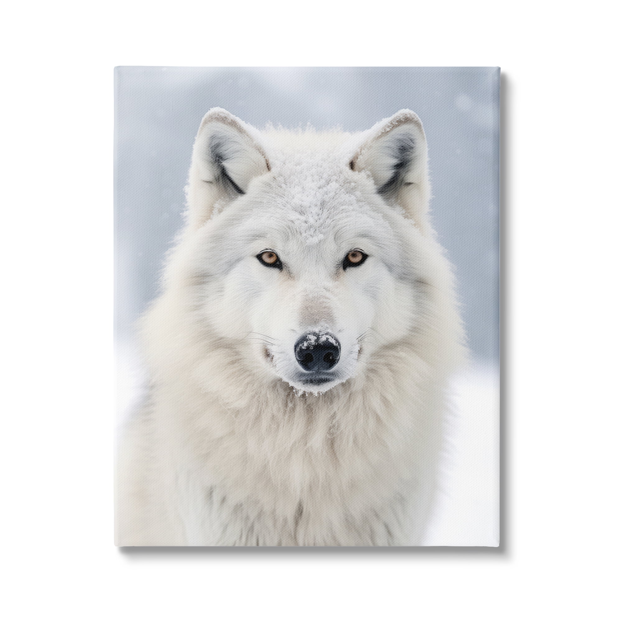 Stupell Industries White Wolf in Snow Animals & Insects Photography Gallery Wrapped Canvas Art Print Wall Art, 16 x 20