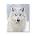 thumbnail image 1 of Stupell Industries White Wolf in Snow Animals & Insects Photography Gallery Wrapped Canvas Art Print Wall Art, 36 x 48, 1 of 8
