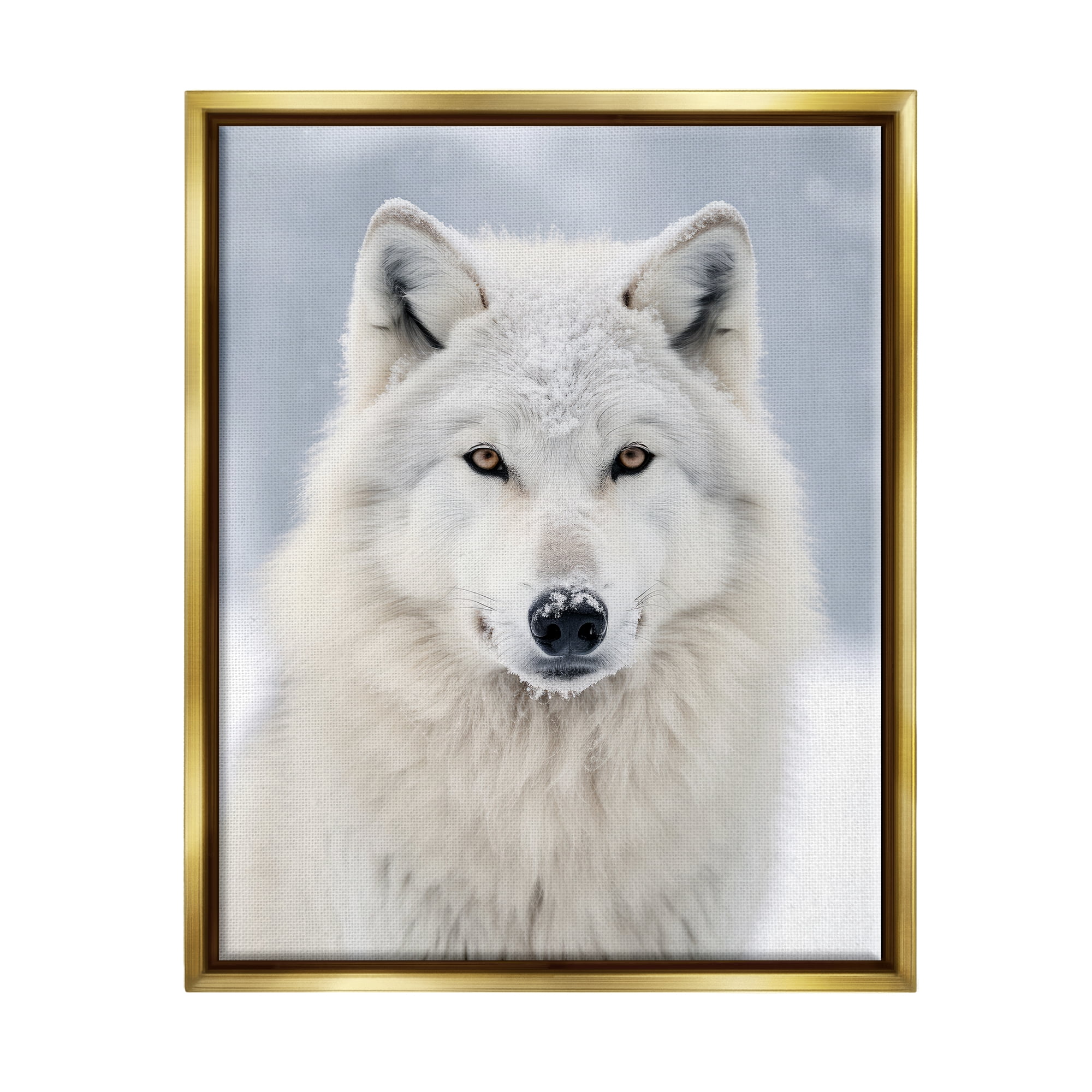Stupell Industries White Wolf in Snow Animals & Insects Photography Gold Floater Framed Canvas Art Print Wall Art, 17 x 21