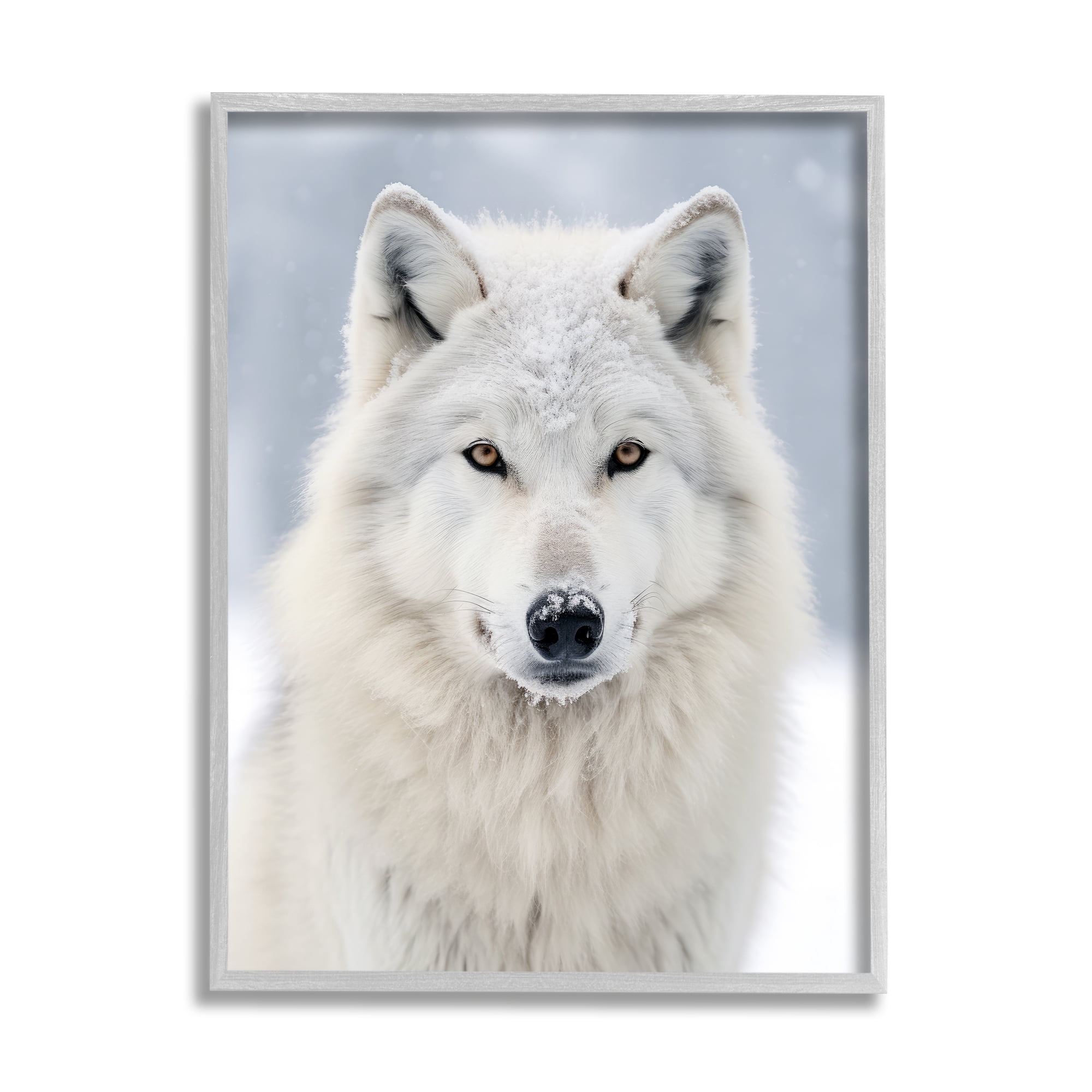 Stupell Industries White Wolf in Snow Animals & Insects Photography Gray Framed Art Print Wall Art, 11 x 14