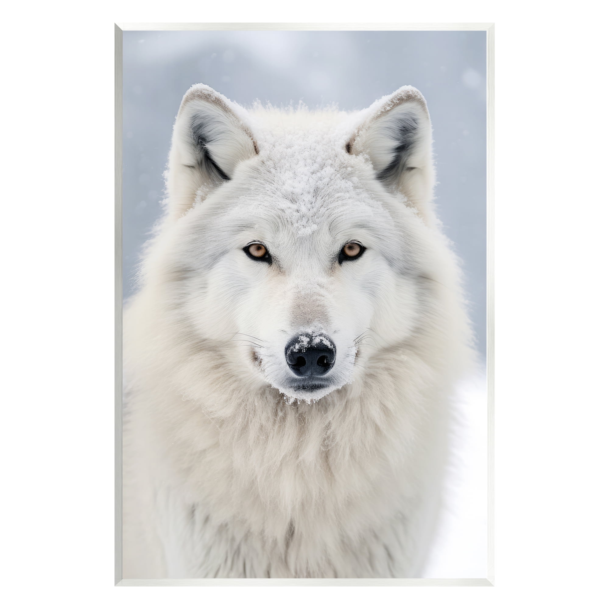 Stupell Industries White Wolf in Snow Animals & Insects Photography Unframed Art Print Wall Art, 10 x 15