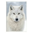 thumbnail image 1 of Stupell Industries White Wolf in Snow Animals & Insects Photography Unframed Art Print Wall Art, 13 x 19, 1 of 7