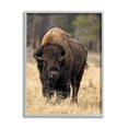 thumbnail image 1 of Stupell Industries Wild American Bison Grazing Rustic Tall Grass, 11 x 14, Designed by Larry McFerrin, 1 of 1