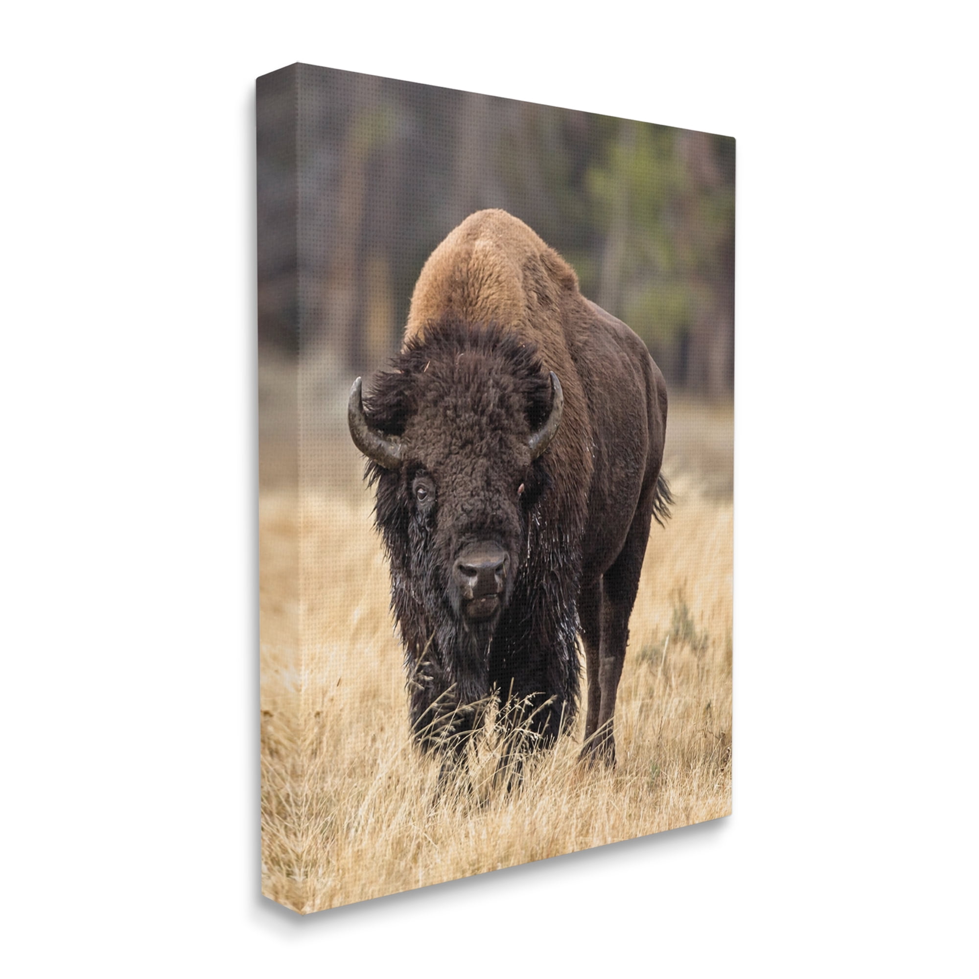 Stupell Industries Wild American Bison Grazing Rustic Tall Grass, 24 x 30, Designed by Larry McFerrin