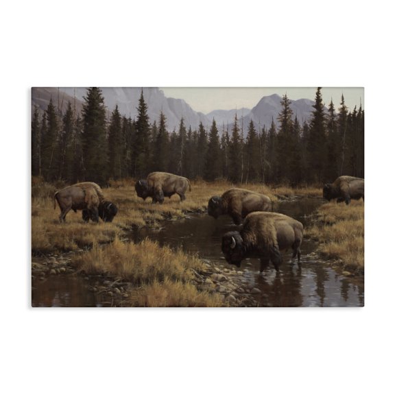 Stupell Industries Farmhouse Wild Bison Grazing at Stream Canvas Art, 45 x 30, by Paco Young