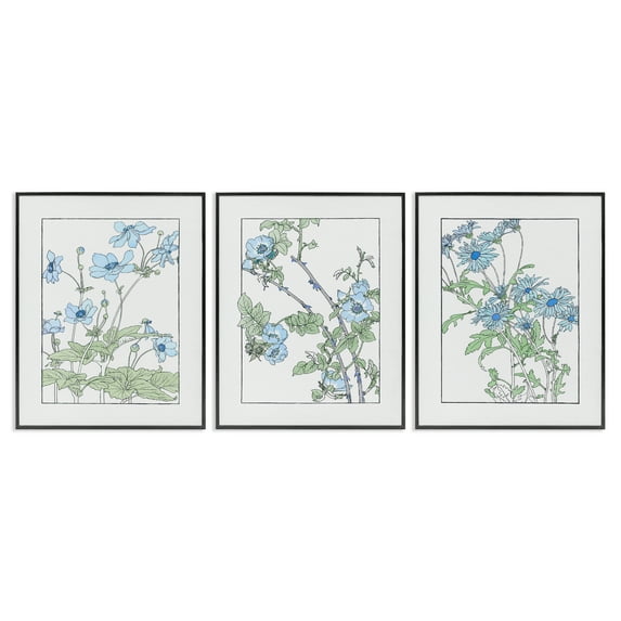 Stupell Industries Wild Blooms with Detailed Outlines 3 Piece Black Framed Giclee Art Set design by CAD Designs, 14 x 11