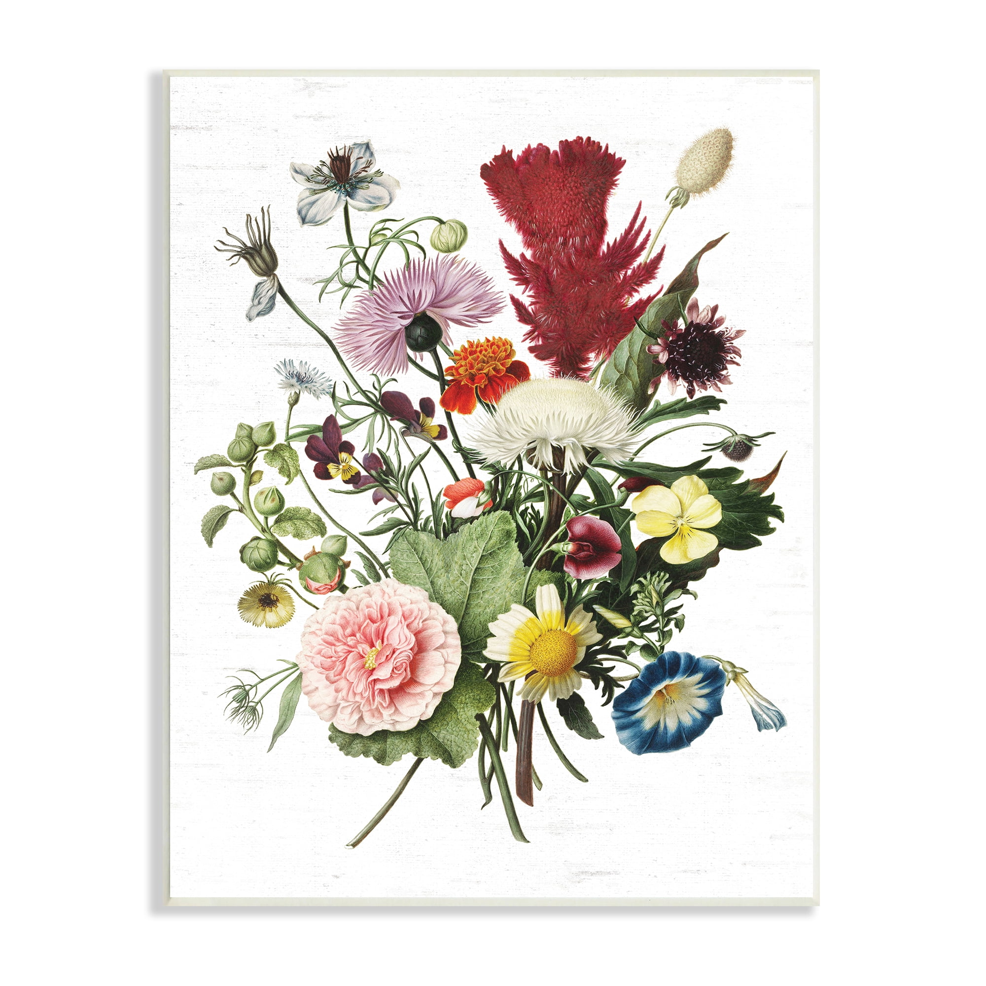Stupell Industries Wild Botanical Bouquet Vintage Illustration over White, 13 x 19, Designed by Lettered and Lined