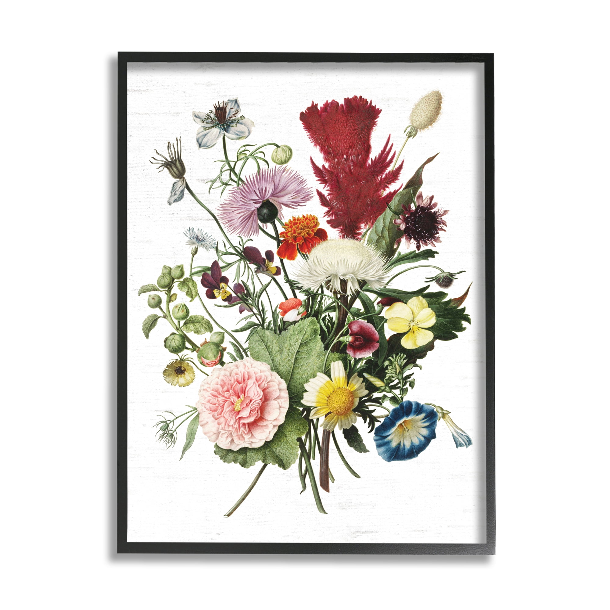 Stupell Industries Wild Botanical Bouquet Vintage Illustration over White, 16 x 20, Designed by Lettered and Lined