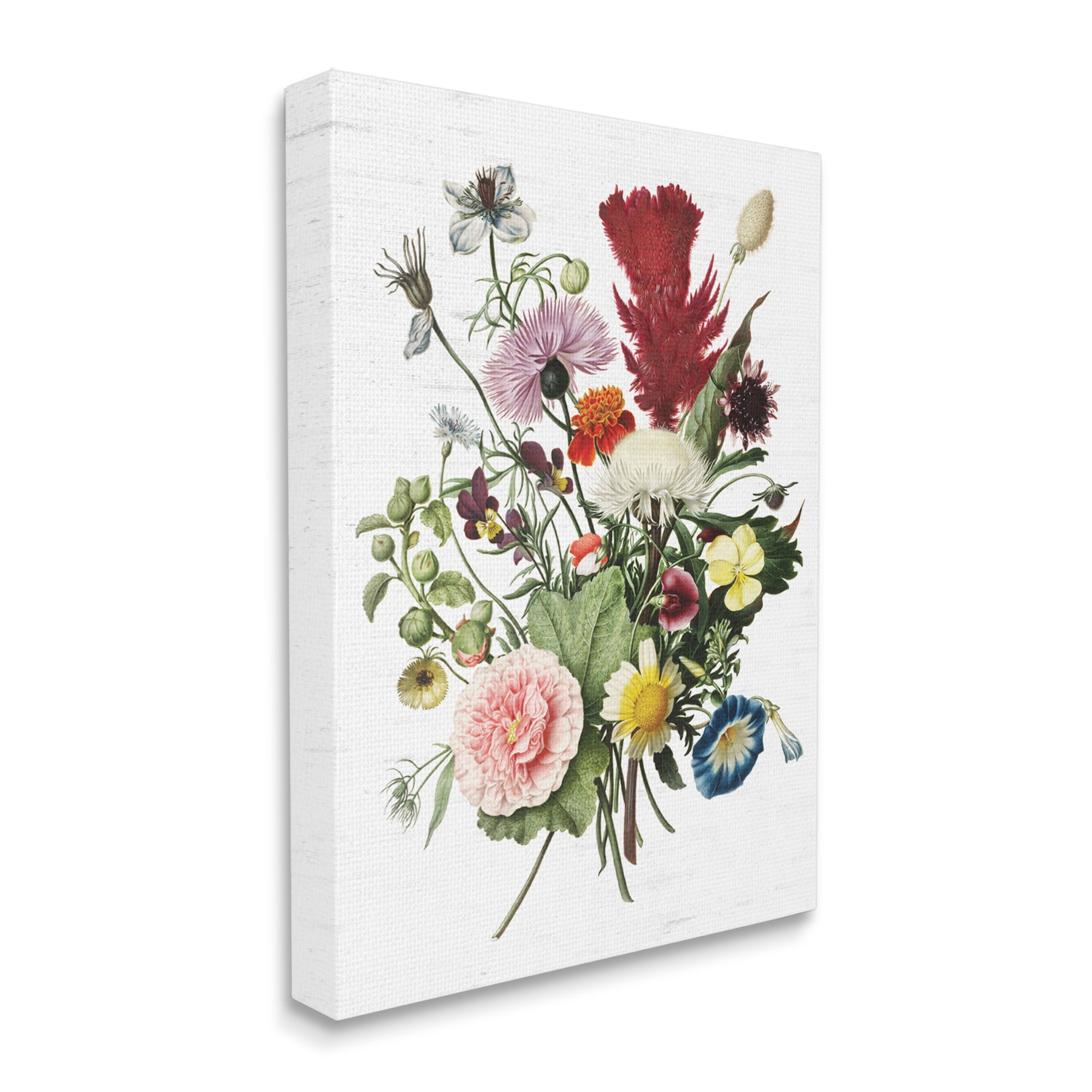 Stupell Industries Wild Botanical Bouquet Vintage Illustration over White, 36 x 48, Designed by Lettered and Lined