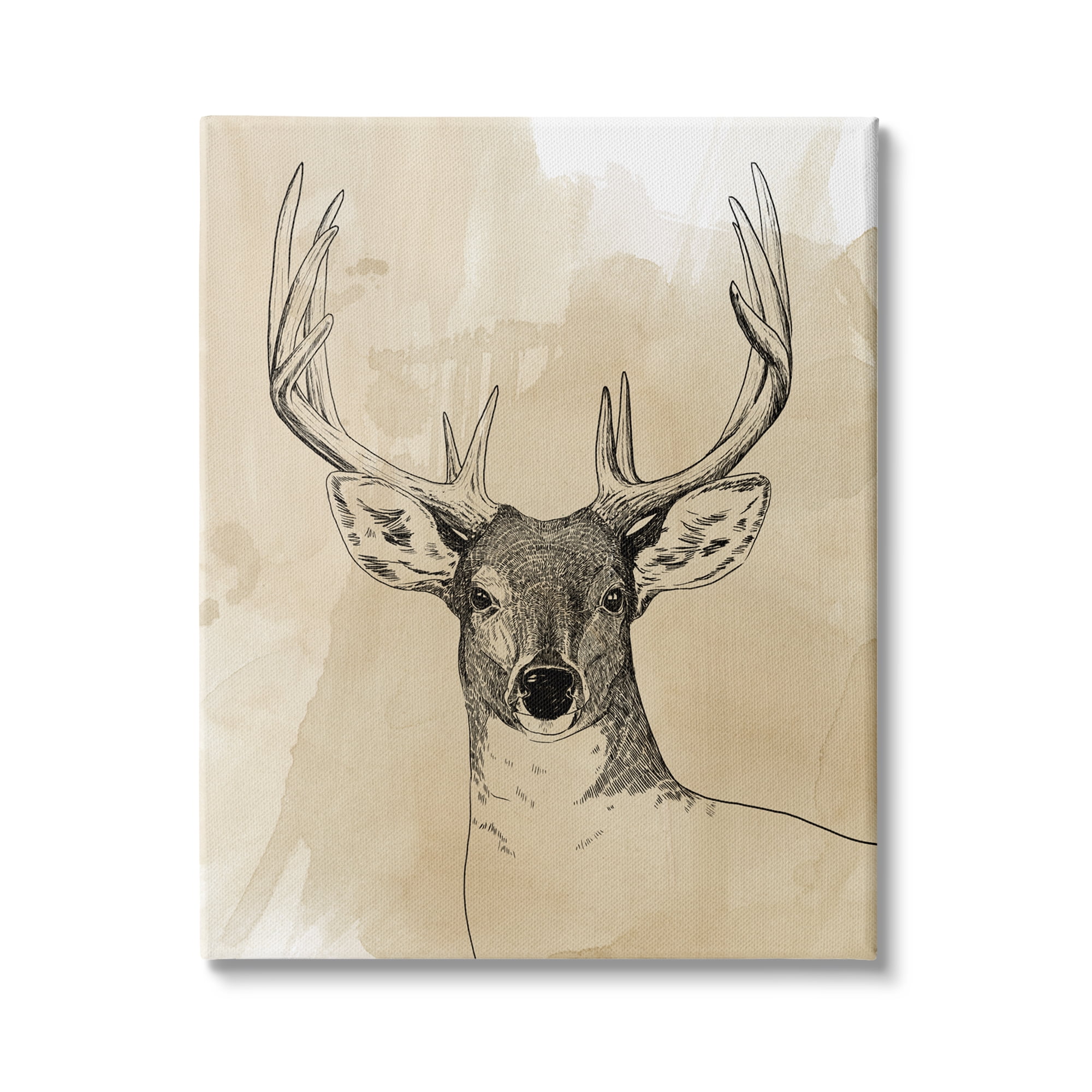Stupell Industries Wild Buck Portrait Forest Animal Illustration Watercolor Pattern, 36 x 48, Design by Grace Popp