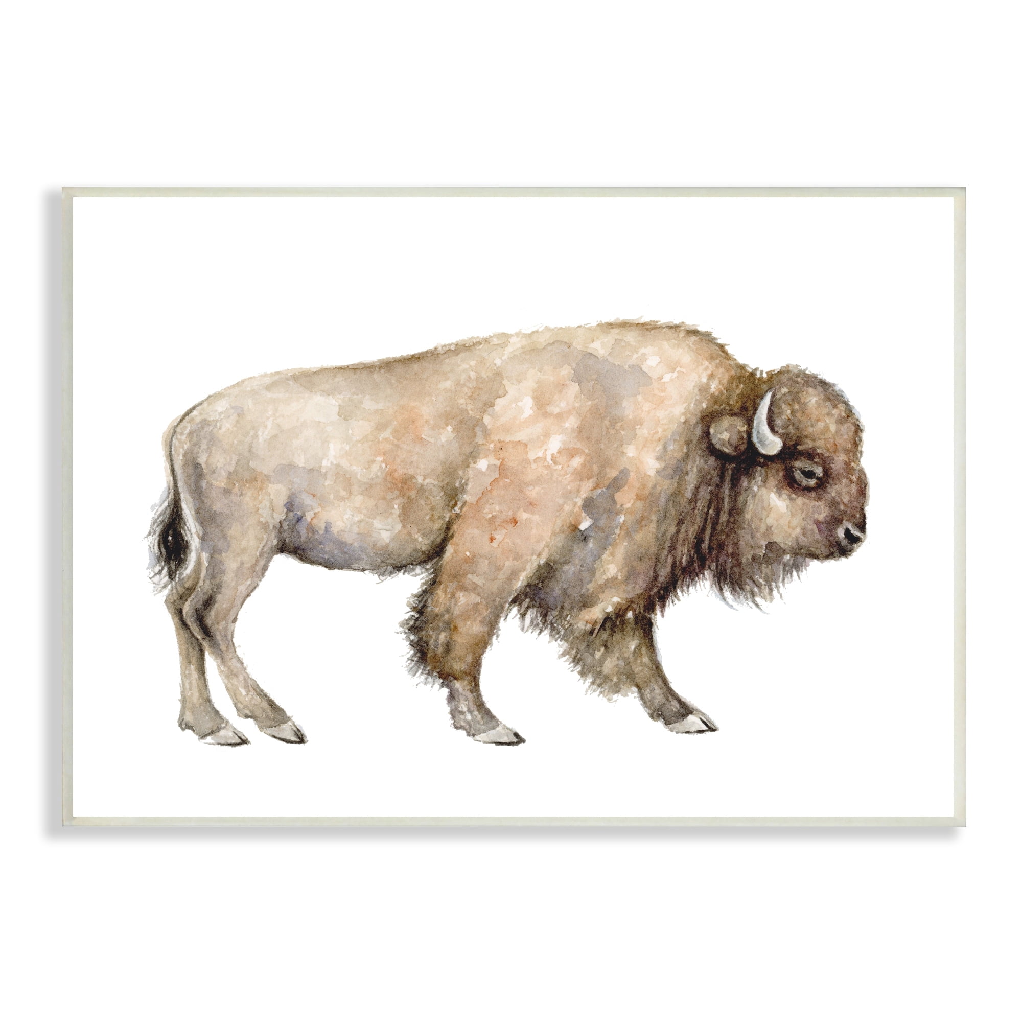 Stupell Industries Wild Buffalo Watercolor Portrait Children's Nursery Wildlife, 15 x 10,Design by Fox Hollow Studios