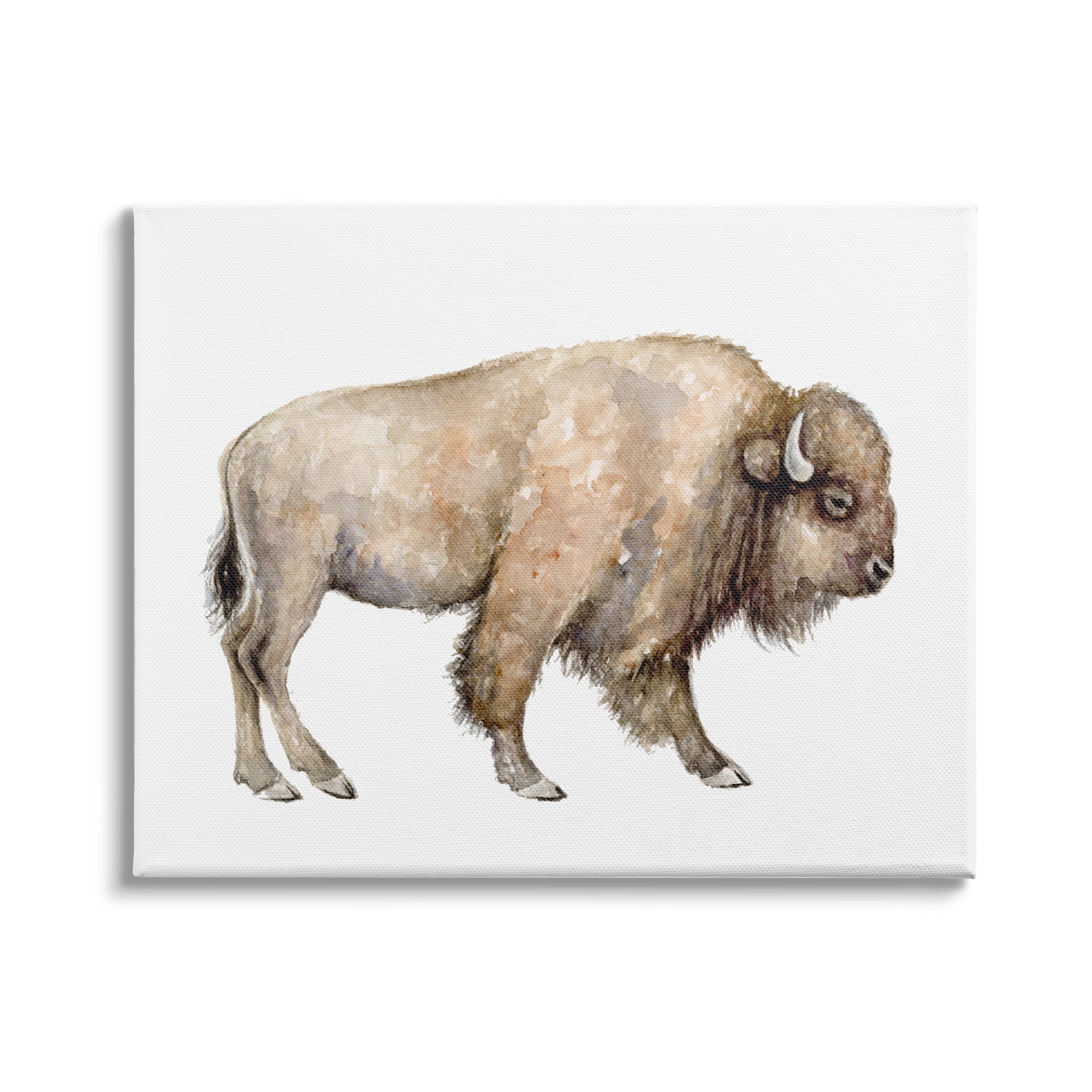 Stupell Industries Wild Buffalo Watercolor Portrait Children's Nursery Wildlife, 20 x 16,Design by Fox Hollow Studios