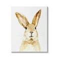 thumbnail image 1 of Stupell Industries Wild Bunny Rabbit Watercolor Portrait Wild Forest Animal, 24 x 30, Design by Victoria Barnes, 1 of 6