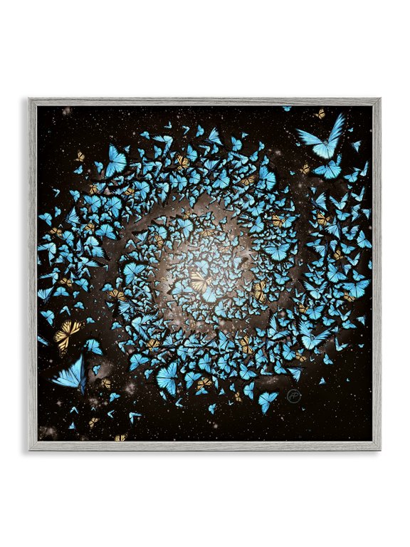 Industries Eclectic Wild Butterflies Flying Vivid Blue Spiral Shape Gray Framed Giclee Art, 24 x 24, by Paula Belle Flores