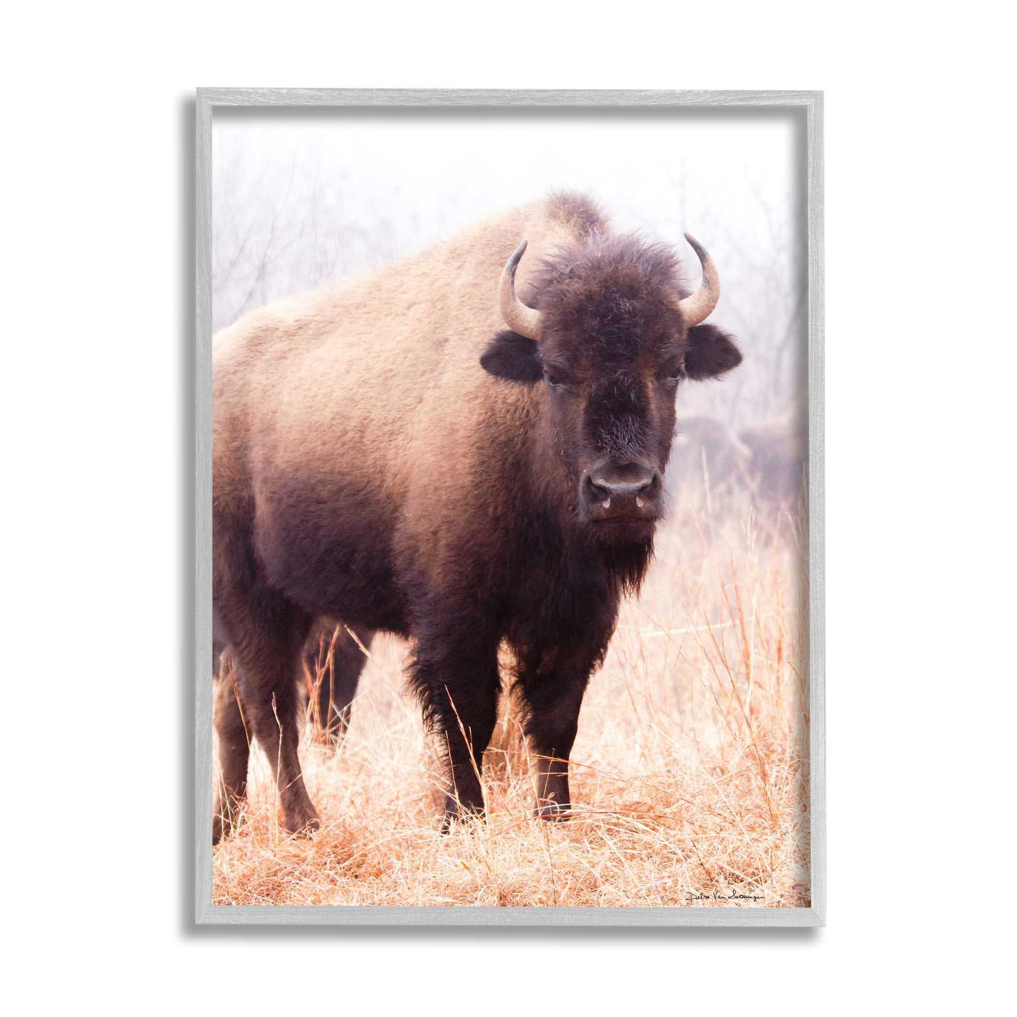 Stupell Industries Wild Cattle Bison Photograph Grassy Autumn Field Cool Tones, 24 x 30, Design by Debra Van Swearingen