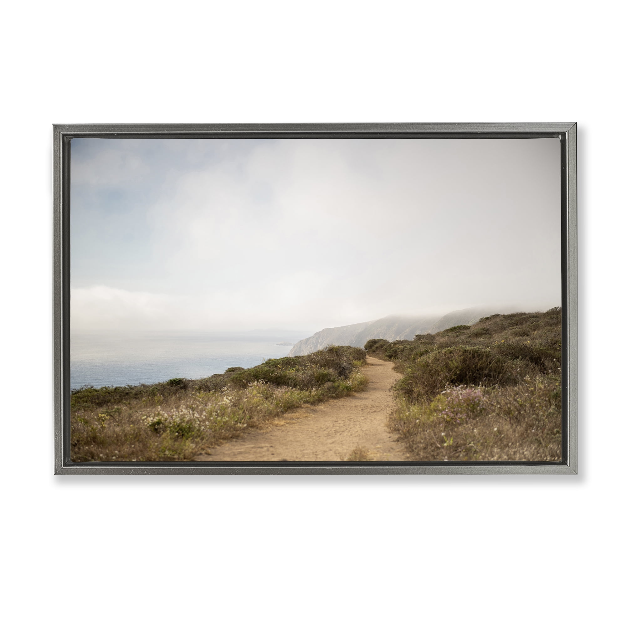 Stupell Industries Wild Coast Pathway Landscape & Nature Photography Gray Floater Framed Canvas Art Print Wall Art, 25 x 17