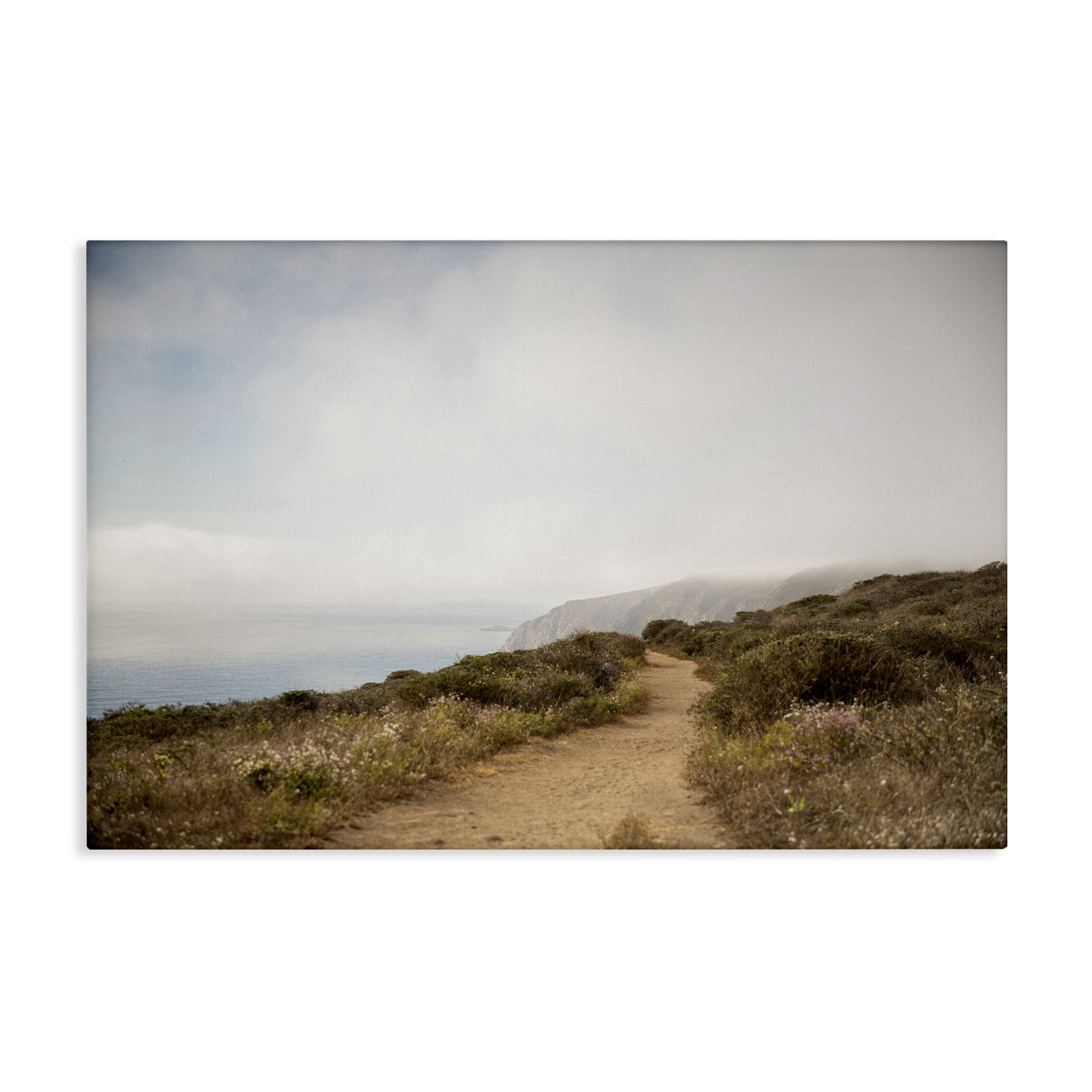 Stupell Industries Wild Coast Pathway Landscape & Nature Photography Wrapped Canvas Art Print Wall Art, 30 x 20