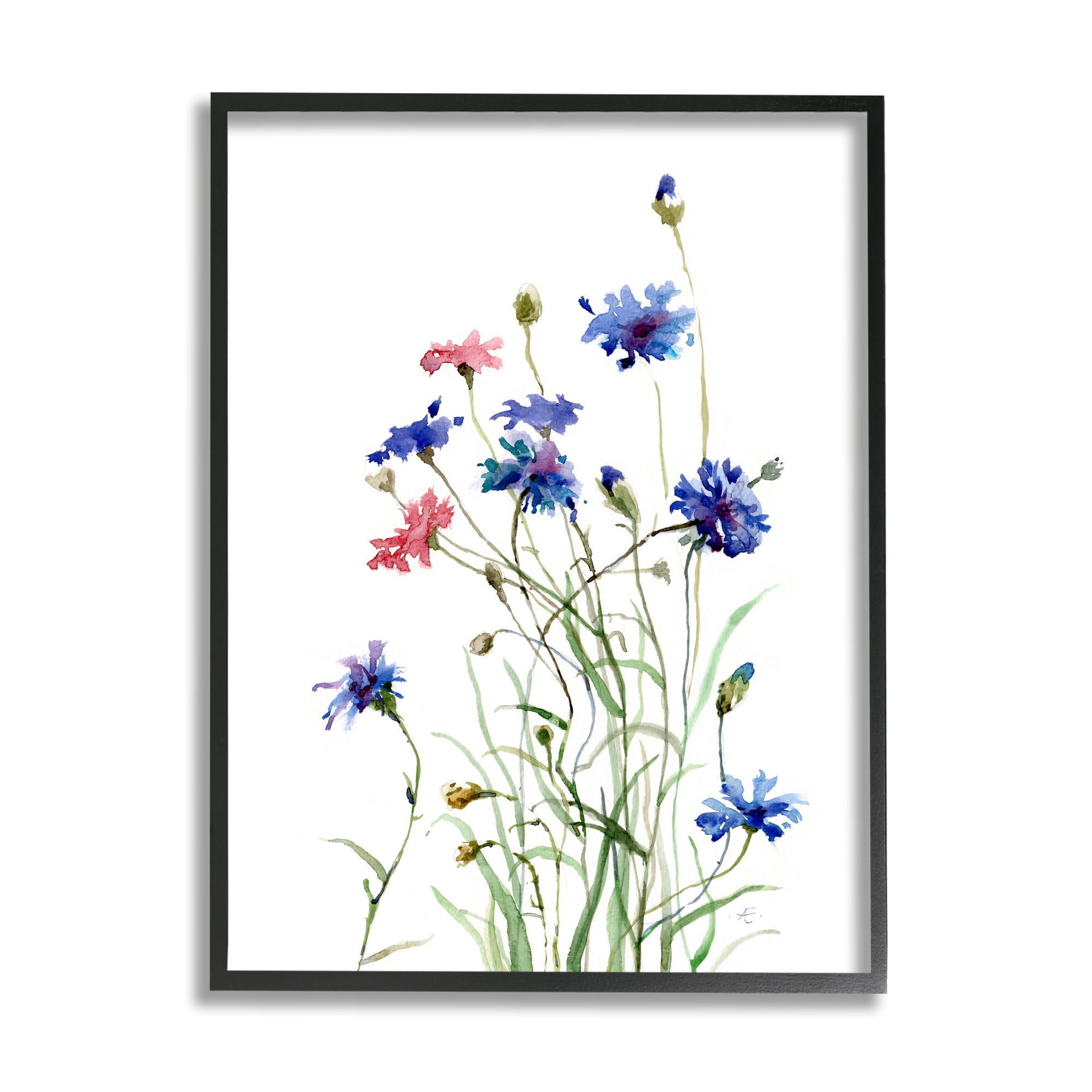 Stupell Industries Wild Cornflowers Spring Bloom Watercolor Blue Pink Botanical & Floral Painting Black Framed Art Print Wall Art, 16 x 20