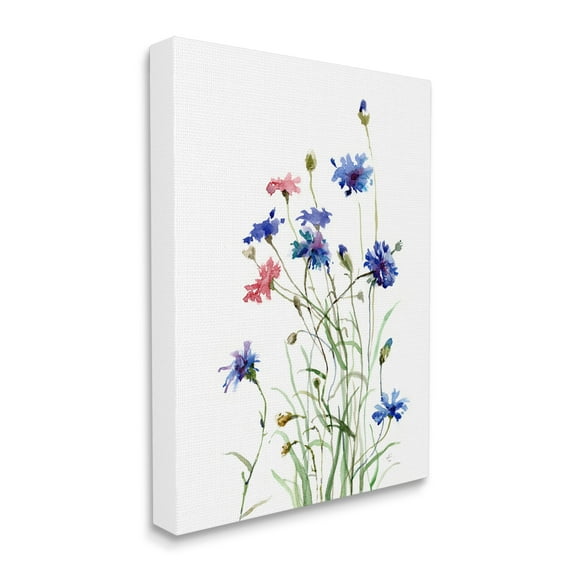 Stupell Industries Wild Cornflowers Spring Bloom Watercolor Blue Pink Botanical & Floral Painting Gallery Wrapped Canvas Print Wall Art, 36 x 48