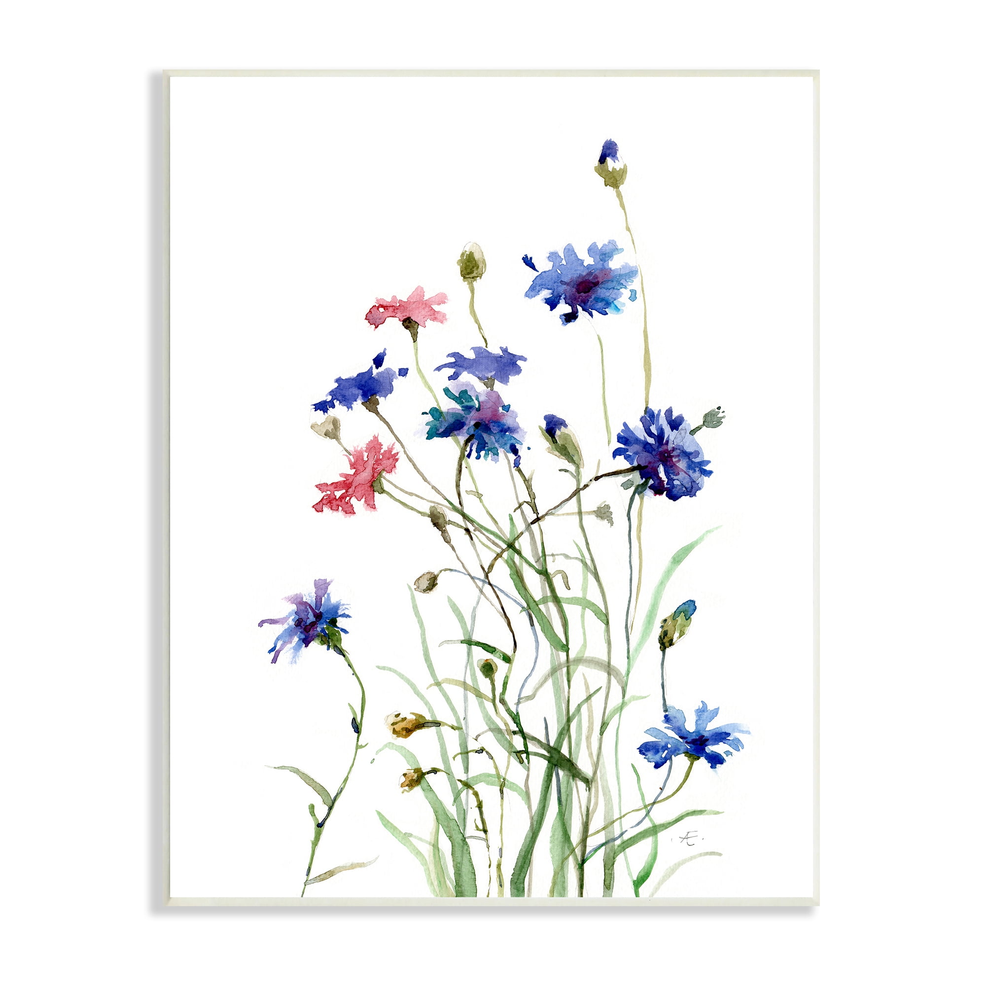 Stupell Industries Wild Cornflowers Spring Bloom Watercolor Blue Pink Botanical & Floral Painting Unframed Art Print Wall Art, 13 x 19