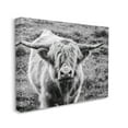 thumbnail image 1 of Stupell Industries Wild Country Cattle Portrait Black and White Animals & Insects Photography Gallery Wrapped Canvas Print Wall Art, 16 x 20, 1 of 6