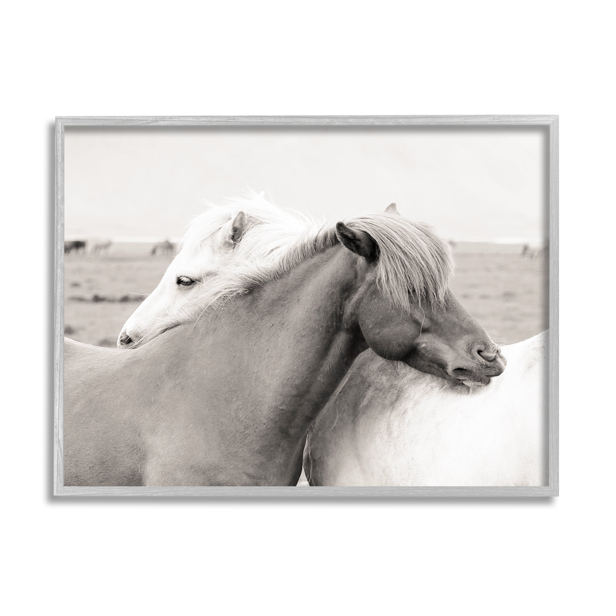 Stupell Industries Wild Country Horses Resting Animal Hug Monochromatic Photograph, 14 x 11, Design by Danita Delimont