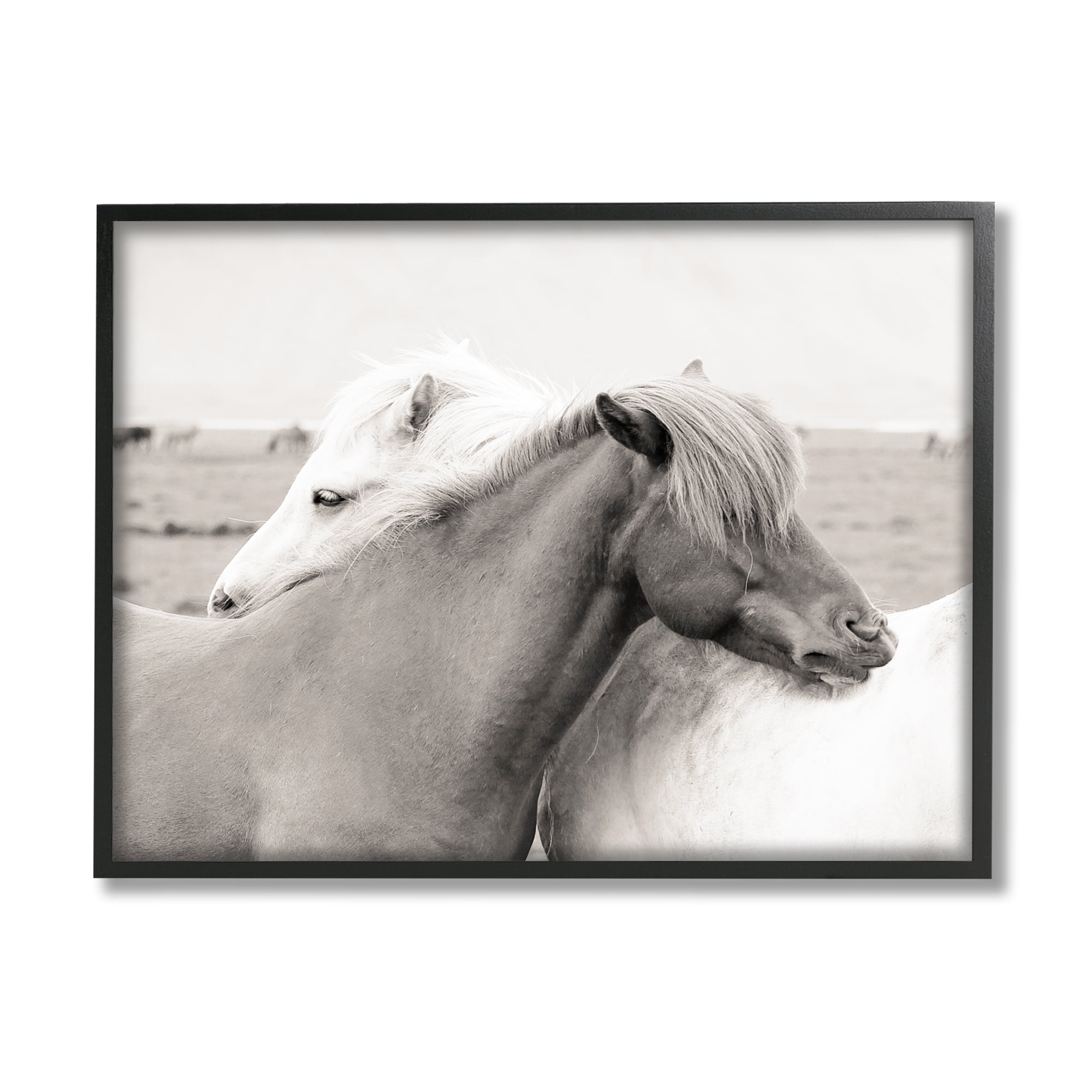 Stupell Industries Wild Country Horses Resting Animal Hug Monochromatic Photograph, 14 x 11, Design by Danita Delimont
