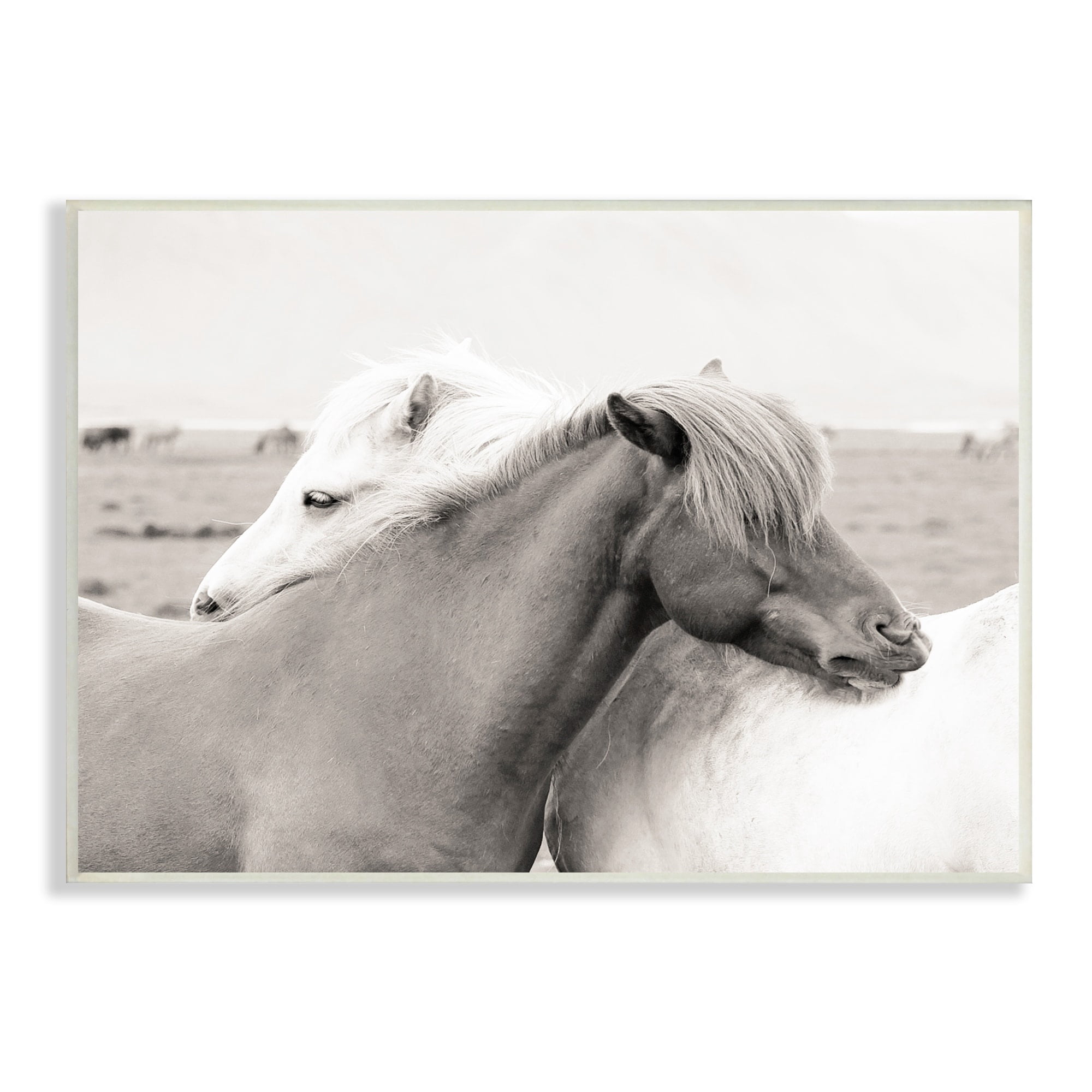 Stupell Industries Wild Country Horses Resting Animal Hug Monochromatic Photograph, 19 x 13, Design by Danita Delimont