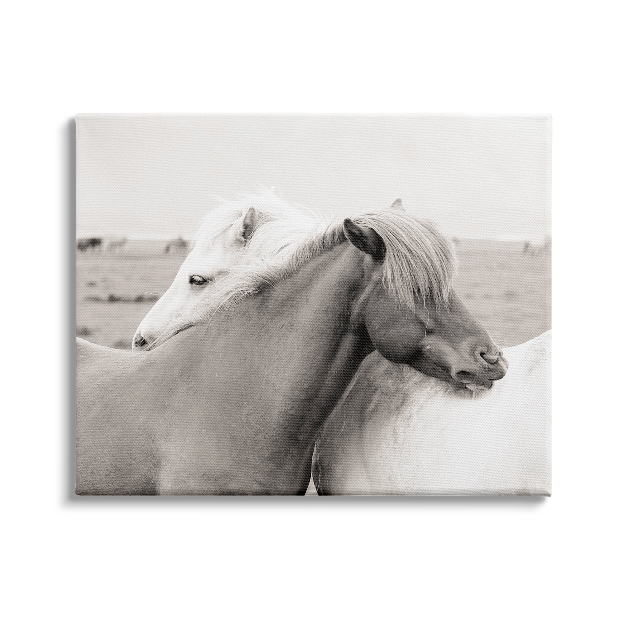 Stupell Industries Wild Country Horses Resting Animal Hug Monochromatic Photograph, 20 x 16, Design by Danita Delimont