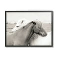 thumbnail image 1 of Stupell Industries Wild Country Horses Resting Animal Hug Monochromatic Photograph, 30 x 24, Design by Danita Delimont, 1 of 7