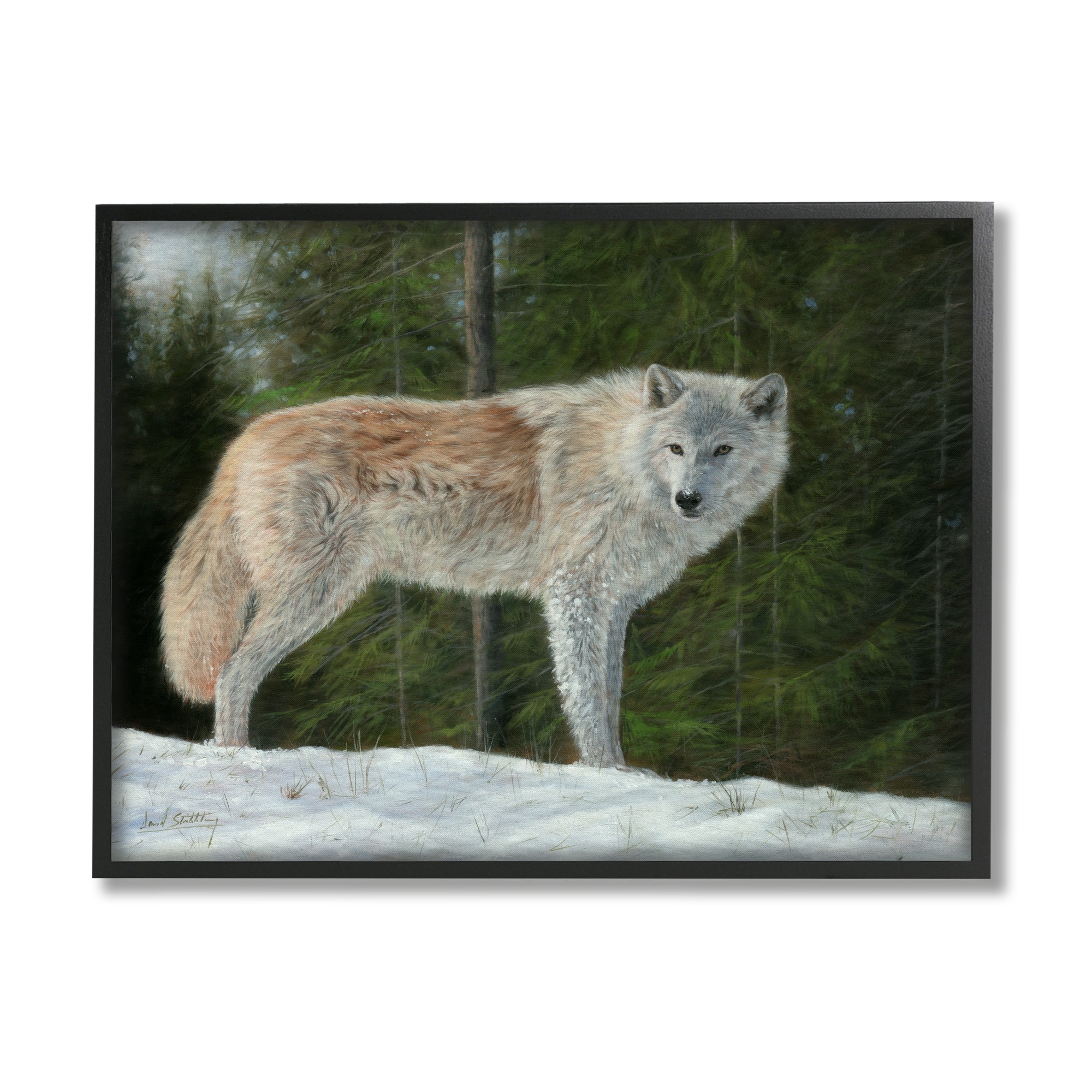 Stupell Industries Wild Coyote Wolf Gazing Snowy Forest Clearing Painting Black Framed Art Print Wall Art, Design by David Stribbling