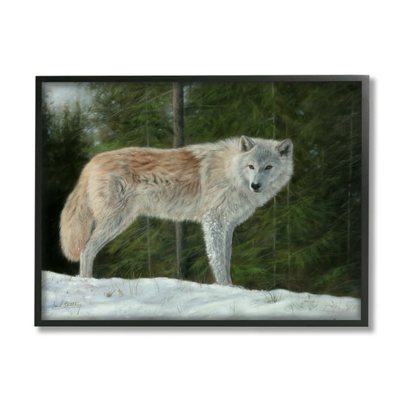 Stupell Industries Wild Coyote Wolf Gazing Snowy Forest Clearing Painting Black Framed Art Print Wall Art, Design by David Stribbling