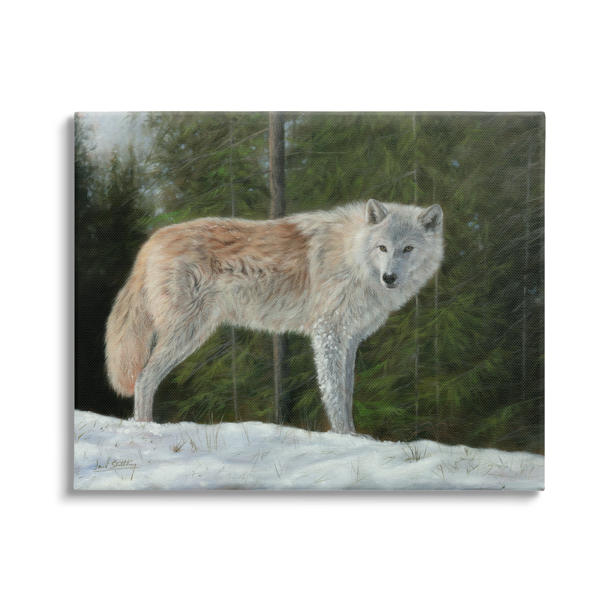 Stupell Industries Wild Coyote Wolf Gazing Snowy Forest Clearing Painting Gallery Wrapped Canvas Print Wall Art, Design by David Stribbling