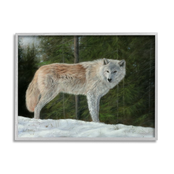 Stupell Industries Wild Coyote Wolf Gazing Snowy Forest Clearing Painting Gray Framed Art Print Wall Art, Design by David Stribbling