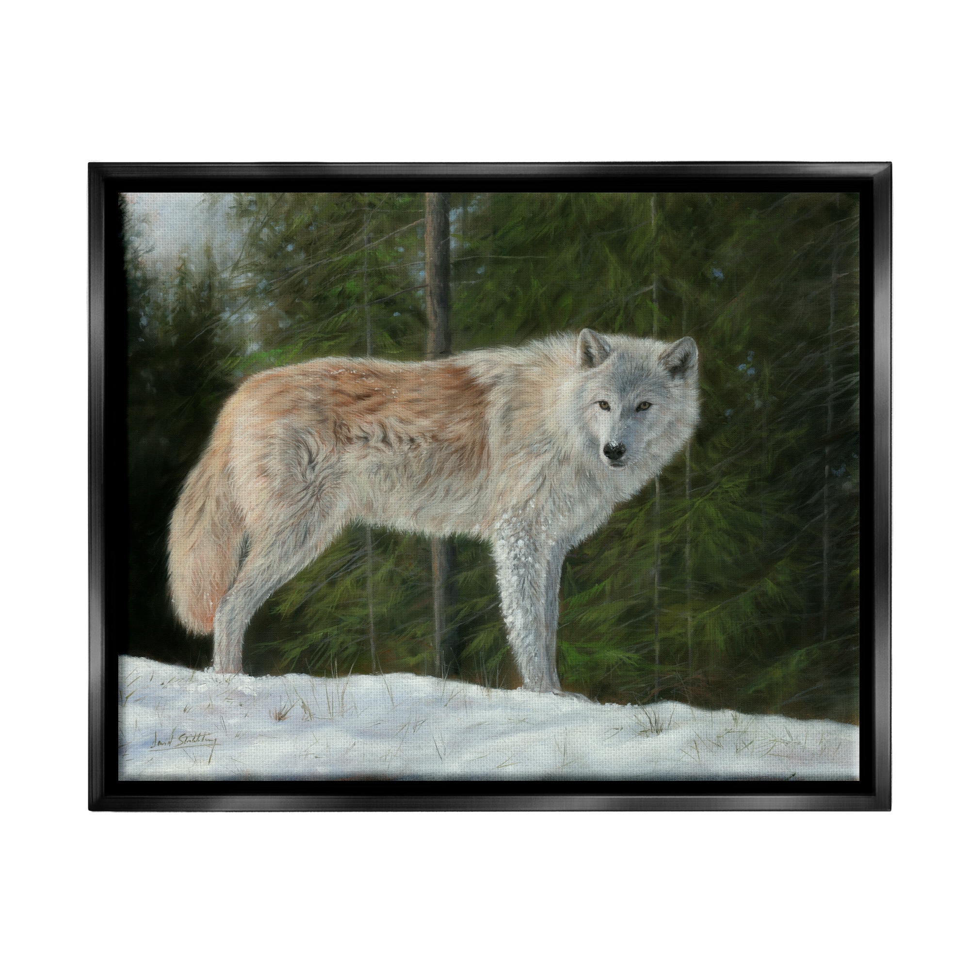Stupell Industries Wild Coyote Wolf Gazing Snowy Forest Clearing Painting Jet Black Floating Framed Canvas Print Wall Art, Design by David Stribbling