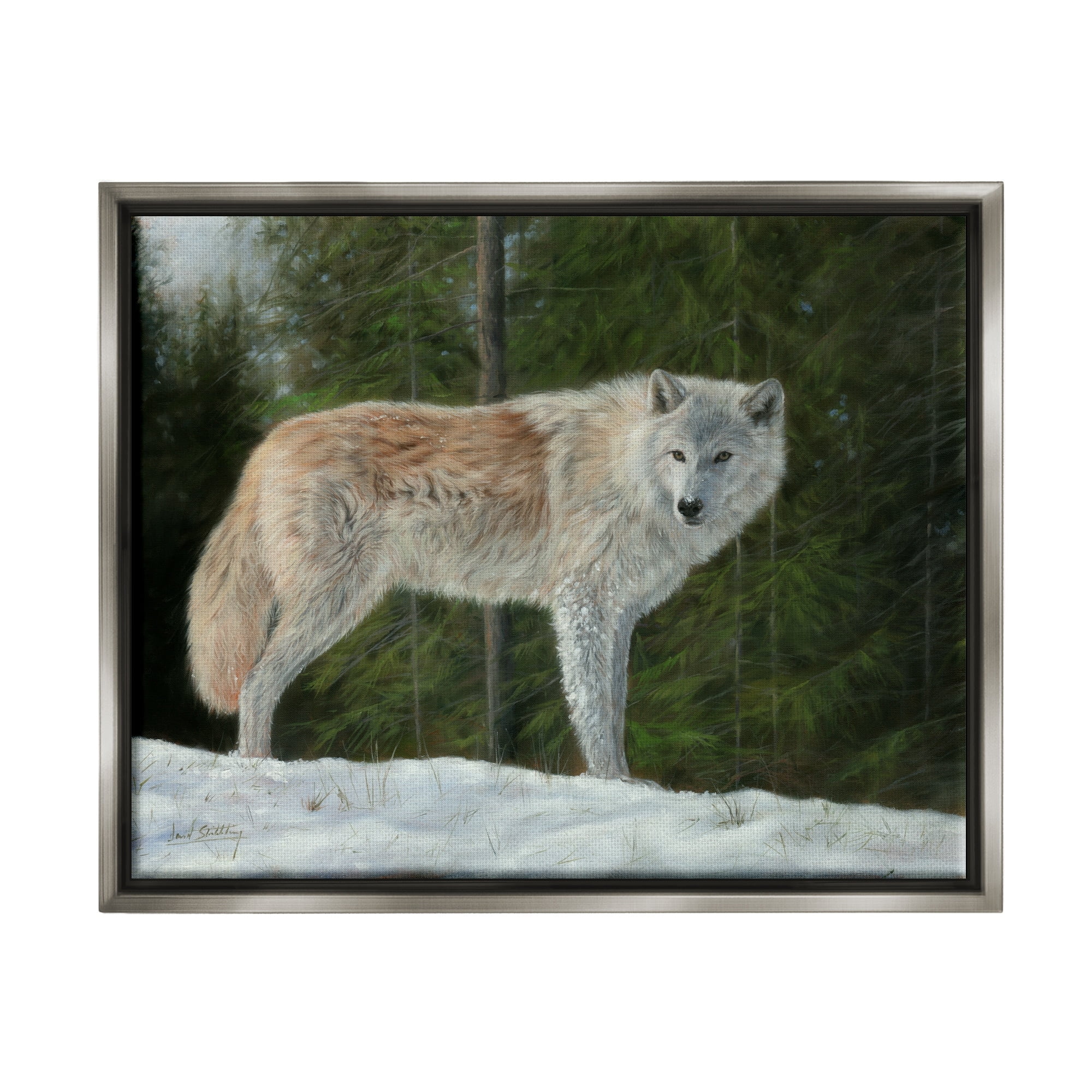 Stupell Industries Wild Coyote Wolf Gazing Snowy Forest Clearing Painting Luster Gray Floating Framed Canvas Print Wall Art, Design by David Stribbling