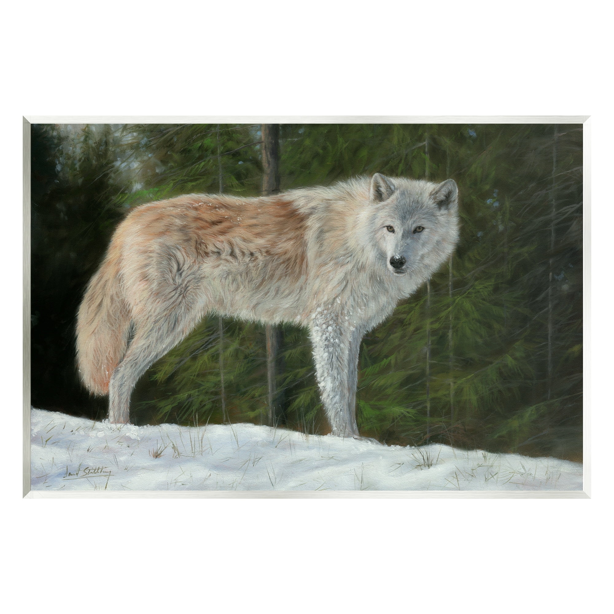 Stupell Industries Wild Coyote Wolf Gazing Snowy Forest Clearing Painting Unframed Art Print Wall Art, Design by David Stribbling