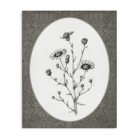 Stupell Industries Wild Daisies Bundle Floral Painting Wrapped Canvas Canvas Art Print Wall Art, 16 x 20