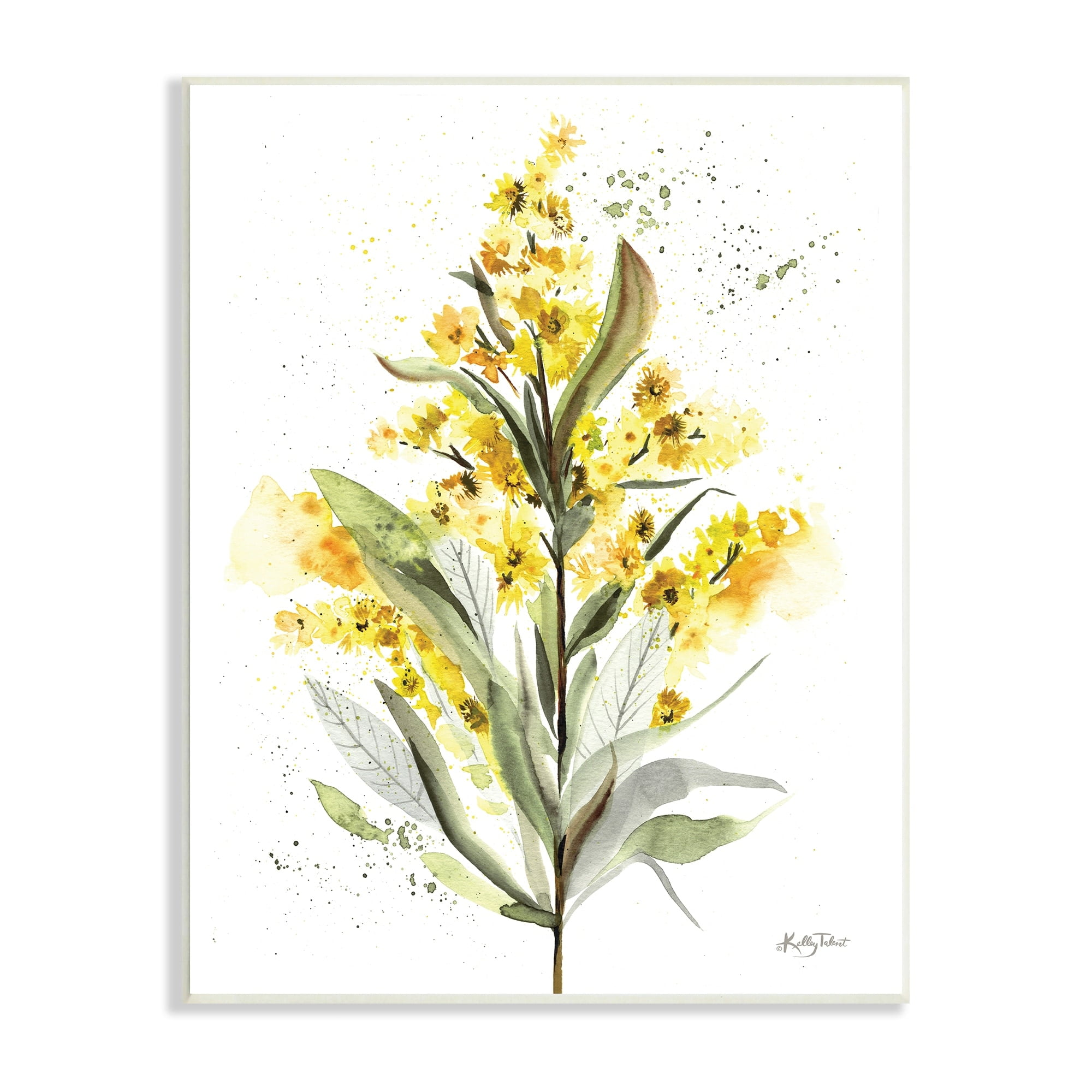 Stupell Industries Wild Daisies Leaf Sprout Flower Impressionist Illustration,13 x 19, Design by Kelley Talent