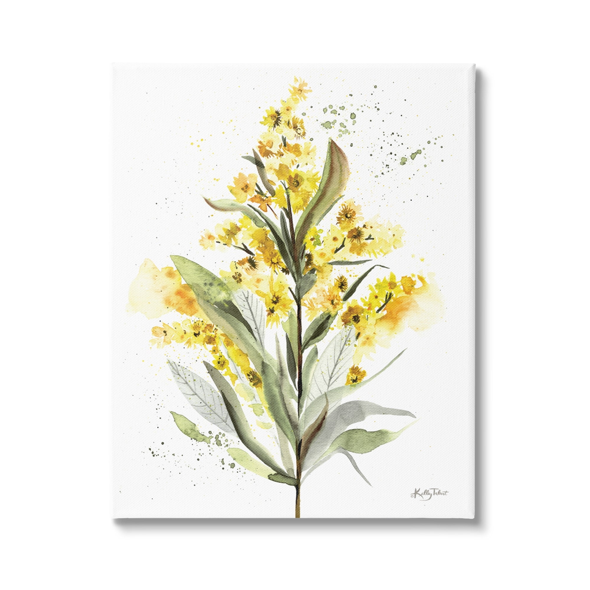 Stupell Industries Wild Daisies Leaf Sprout Flower Impressionist Illustration,16 x 20, Design by Kelley Talent