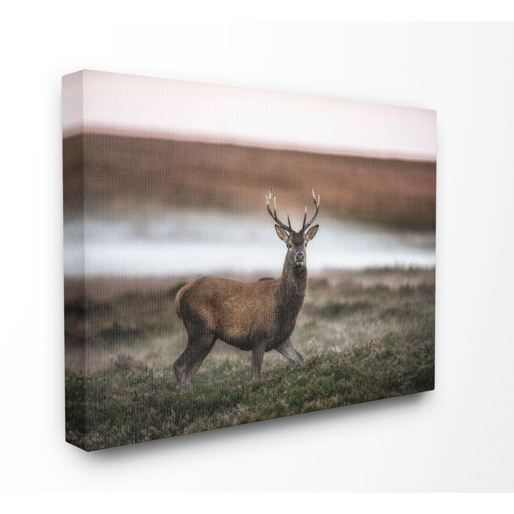Stupell Industries Wild Deer Animal Landscape Photo Canvas Wall Art by Villager Jim