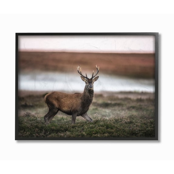 Stupell Industries Wild Deer Animal Landscape Photo Framed Giclee Texturized Art by Villager Jim